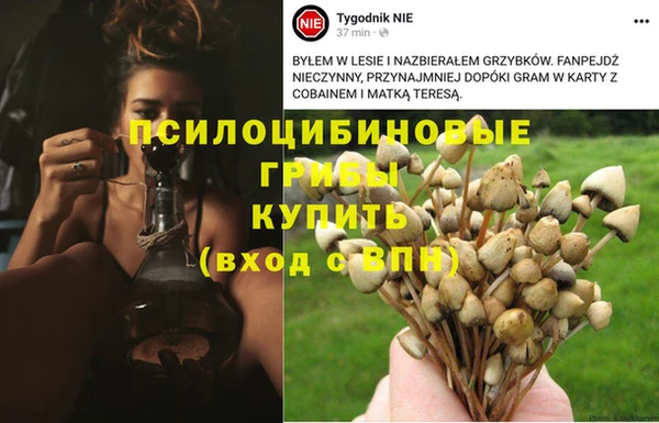 spice Беломорск