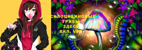 spice Беломорск